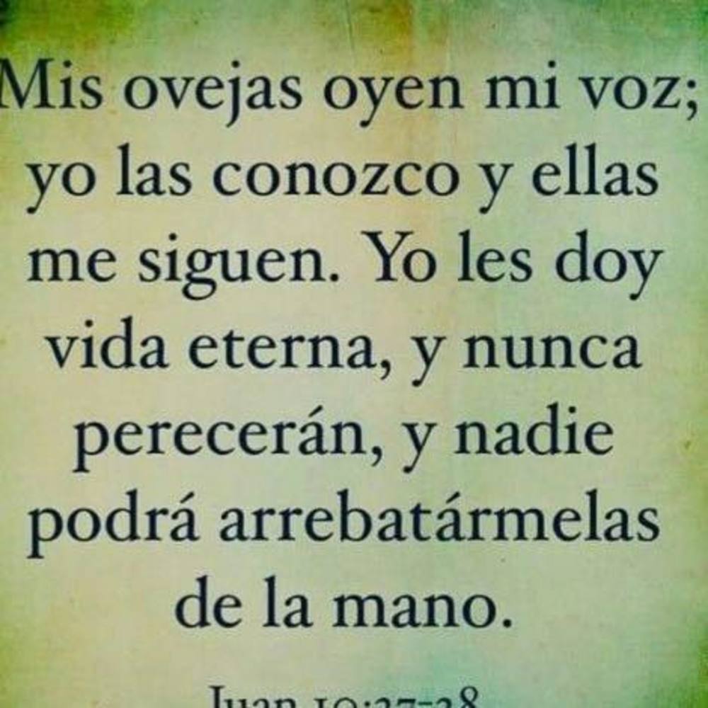 Meet your Posher, Dianna